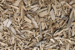 biomass boilers Tregurtha Downs